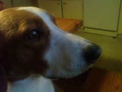 DSC00032.JPG