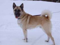 taz_006.jpg