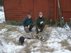 Vincent efter bar förliggarjobb, Niklas och Jonny piffar upp