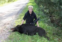 Min fjärde gris skjuten på drevjakt. Galt på ca 120 kg!