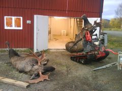 Lyckad Jaktdag i Oktober!