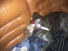 IMG063[1]