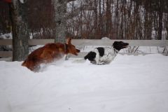 Zelma och Hannes