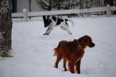 Zelma och Hannes