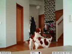 Åtelkameran avslöjar allt....