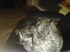 Slappa i soffan