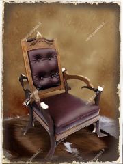 Lord chair TP226