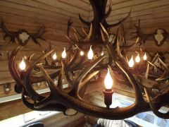 Chandelier of red deer antler TP198