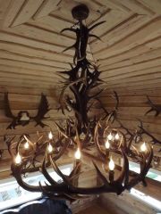 Chandelier of red deer antler TP198