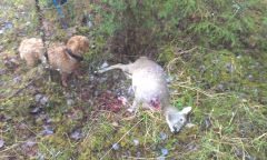 178098 110556672440565 1205217973 O