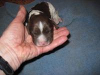 post-2042-0-43291000-1295378749_thumb.jp