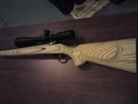 post-2287-0-61250400-1295712331_thumb.jp