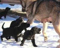 post-2573-0-21468600-1294687460_thumb.jp