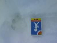 post-5172-0-14620100-1294662726_thumb.jp