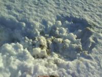 post-5172-0-74402900-1294660725_thumb.jp