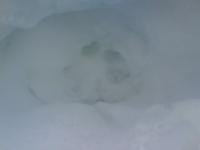 post-5172-0-74972700-1294660755_thumb.jp