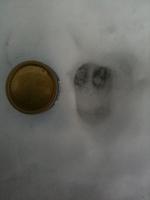 post-6011-0-46464400-1294581066_thumb.jp