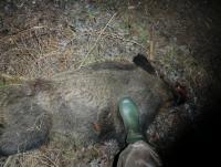 post-3031-0-29407000-1326484190_thumb.jp