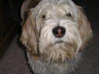 post-5480-0-13054800-1325604127_thumb.jp