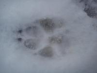 post-7852-0-79590600-1326565426_thumb.jp