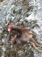 post-9181-0-27859200-1325547675_thumb.jp