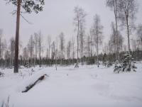 P1000050.JPG