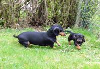 post-10445-0-49701000-1358705992_thumb.j