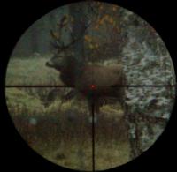 post-10656-0-32208400-1357464354_thumb.j