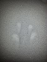 post-12169-0-51695200-1357426882_thumb.j
