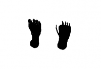 post-14343-0-32858600-1359478647_thumb.p