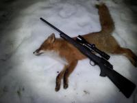 post-5412-0-65557600-1357602330_thumb.jp