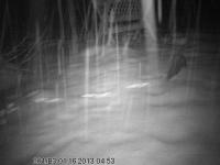 post-5858-0-60898500-1358322008_thumb.jp