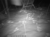 post-5858-0-78233300-1358321976_thumb.jp