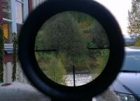 post-8252-0-12299900-1359130082_thumb.jp