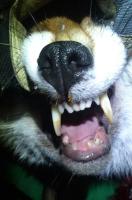 post-10656-0-35723500-1391074803_thumb.j