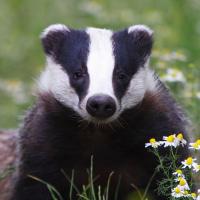 post-14396-0-47310100-1390682547_thumb.j