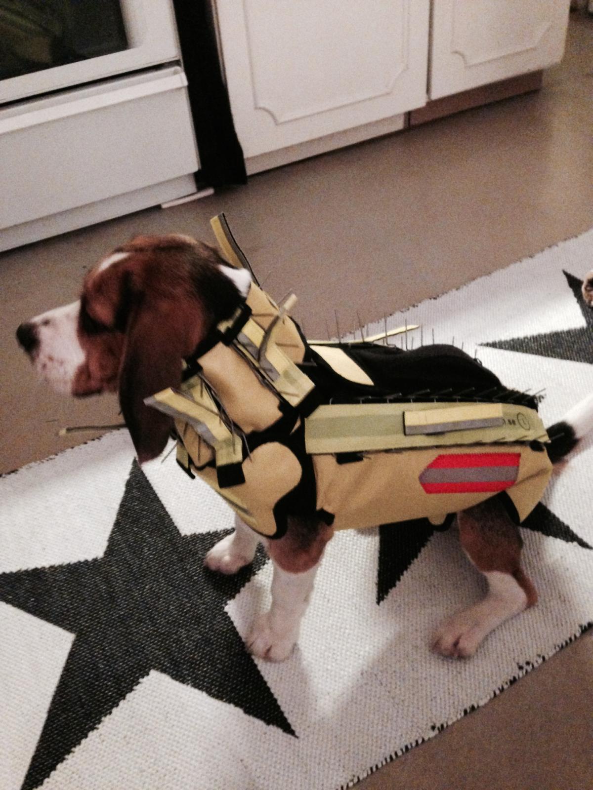 Jaktintresserad ungdoms tjej med en jobbig fundering