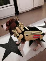 post-14501-0-19773300-1390892467_thumb.j