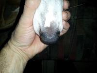 post-4173-0-61584000-1390733371_thumb.jp