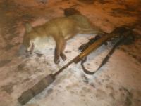 post-4850-0-39280500-1390377440_thumb.jp