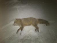 post-4850-0-82637200-1391087539_thumb.jp