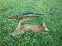 post-5037-0-60744300-1389199149_thumb.jp