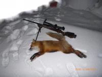 post-9376-0-37900900-1389905094_thumb.jp