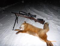 post-9376-0-51129200-1389813747_thumb.jp