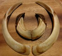 post-3128-0-34076900-1420407711_thumb.jp