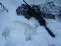 post-3287-0-84567900-1452491069_thumb.jp