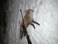 post-6248-0-46612700-1452155816_thumb.jp