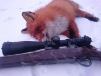 post-9376-0-01498800-1452349194_thumb.jp