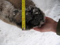 post-144-1233722046_thumb.jpg