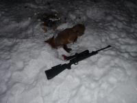 post-4534-0-56325800-1328825654_thumb.jp